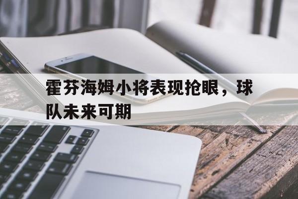 霍芬海姆小将表现抢眼，球队未来可期-平博体育